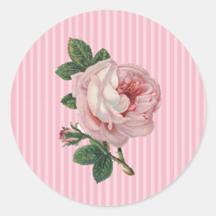 Rosa Vintage-Rosen-Aufkleber Runder Aufkleber