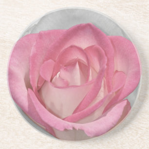 Rosa Vintage-Rosen-Druck Untersetzer