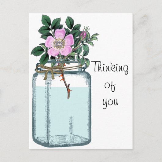 Rosa Vintage wilde Rose in Mason Jar Postkarte (Vorderseite)