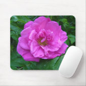 rosa, violette Rosenblume Mousepad (Mit Mouse)