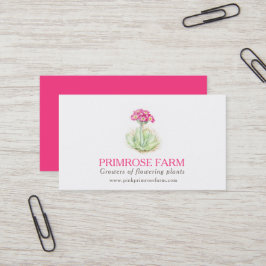 Rosa Visitenkarte