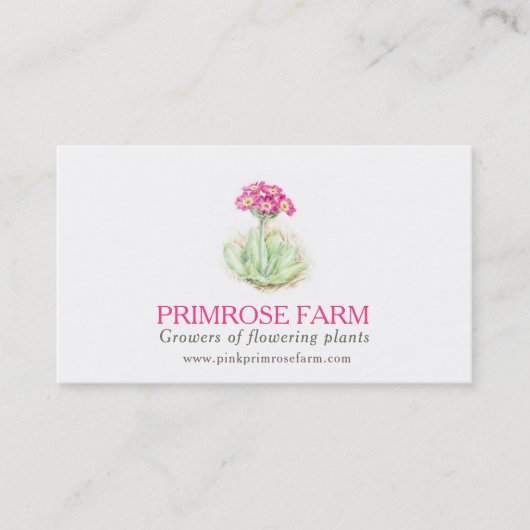 Rosa Visitenkarte (Vorderseite)