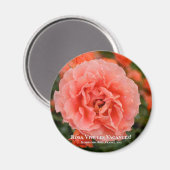 Rosa Vive les Vacances! ネ Magnet (Vorderseite/Rückseite)