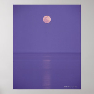 Rosa Vollmond Poster