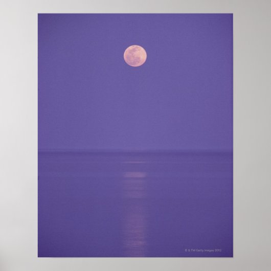Rosa Vollmond Poster (Vorne)