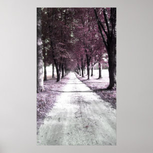 Rosa Waldschlucht Poster