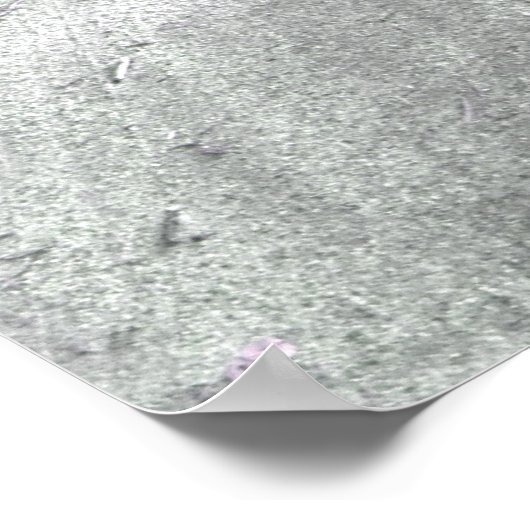 Rosa Waldschlucht Poster (Ecke)