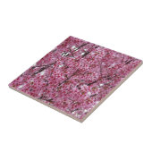 Rosa Wand aus Kirschblüten Tile Fliese (Seite)