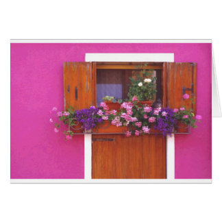 Rosa Wand in Burano