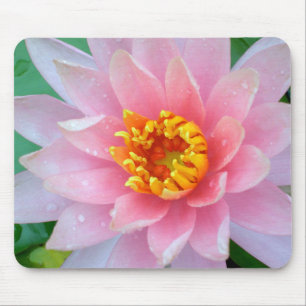 Rosa Wasser-Lilie Mousepad