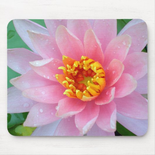 Rosa Wasser-Lilie Mousepad (Vorne)