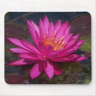 Rosa Wasser-Lilie Mousepad