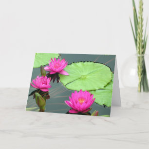 Rosa Wasser-Lilien Karte
