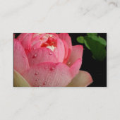 Rosa Wasser-Lilien-Visitenkarte Visitenkarte (Rückseite)