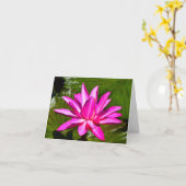 Rosa Wasser-Lilien-Wasserlilie-Anmerkungs-Karte Karte (Gelbe Blume)