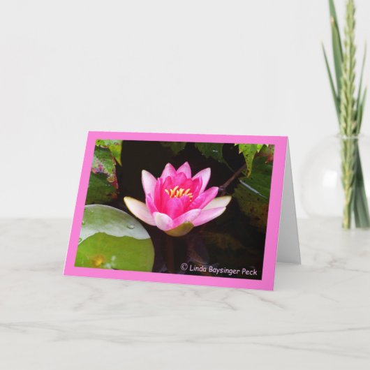 Rosa Wasserlilie 4 Karte (Vorderseite)