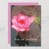 Rosa Wasserlilie Blume Blindeinladung Einladung (Vorne/Hinten)