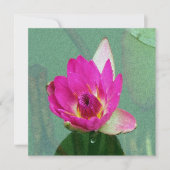 Rosa Wasserlilie Blume Blindeinladung Einladung (Vorderseite)