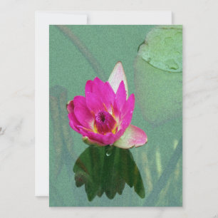 Rosa Wasserlilie Blume Blindeinladung Einladung