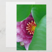 Rosa Wasserlilie Briefpapier (Vorne/Hinten)