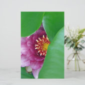Rosa Wasserlilie Briefpapier (Stehend Vorderseite)
