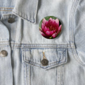 Rosa Wasserlilie Button (Beispiel)