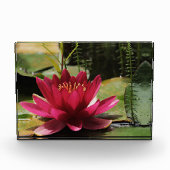 Rosa Wasserlilie Fotoblock (Vorderseite)