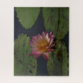 Rosa Wasserlilie Jigsaw Puzzle (Vertikal)