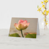 Rosa Wasserlilie Karte (Gelbe Blume)