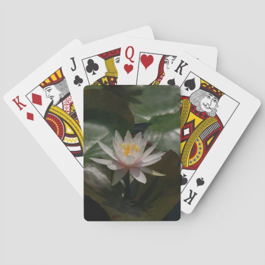 Rosa Wasserlilie Lotus Playing Cards Spielkarten (Rückseite)