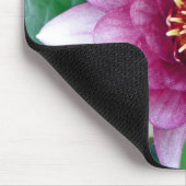 Rosa Wasserlilie Mousepad (Ecke)