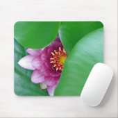 Rosa Wasserlilie Mousepad (Mit Mouse)