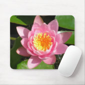 Rosa Wasserlilie Mousepad (Mit Mouse)