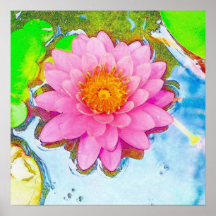 Rosa Wasserlilie Poster