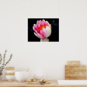 Rosa Wasserlilie Poster (Küche)