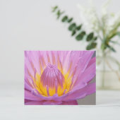 Rosa Wasserlilie Postkarte (Stehend Vorderseite)