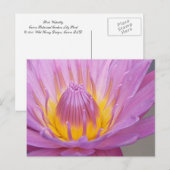 Rosa Wasserlilie Postkarte (Vorne/Hinten)