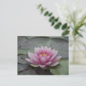Rosa Wasserlilie Postkarte (Stehend Vorderseite)