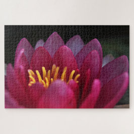 Rosa Wasserlilie Puzzle