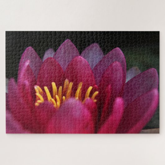 Rosa Wasserlilie Puzzle (Horizontal)
