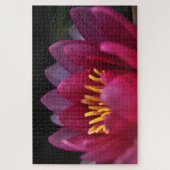 Rosa Wasserlilie Puzzle (Vertikal)