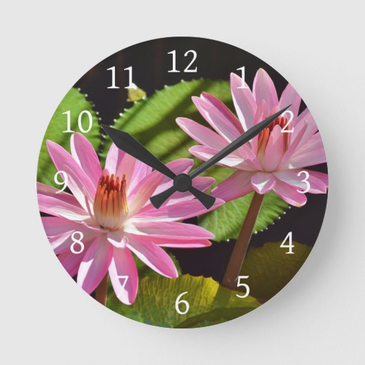 Rosa Wasserlilie Runde Wanduhr (Vorderseite)