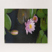 Rosa Wasserlilien Jigsaw Puzzle (Horizontal)