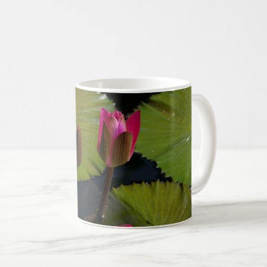 Rosa Wasserlilien Kaffeetasse (VorderseiteRechts)