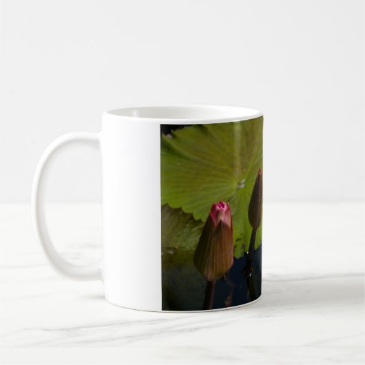 Rosa Wasserlilien Kaffeetasse (Links)