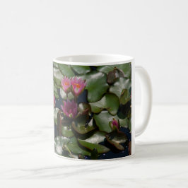 Rosa Wasserlilien Kaffeetasse