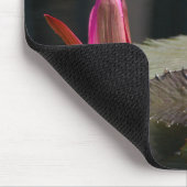 Rosa Wasserlilien Mousepad (Ecke)