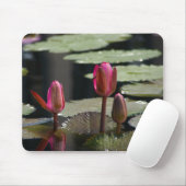 Rosa Wasserlilien Mousepad (Mit Mouse)