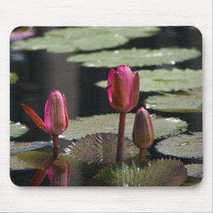 Rosa Wasserlilien Mousepad