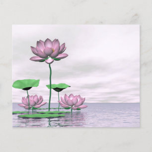 Rosa Wasserlilien und Lotus-Blume Flyer